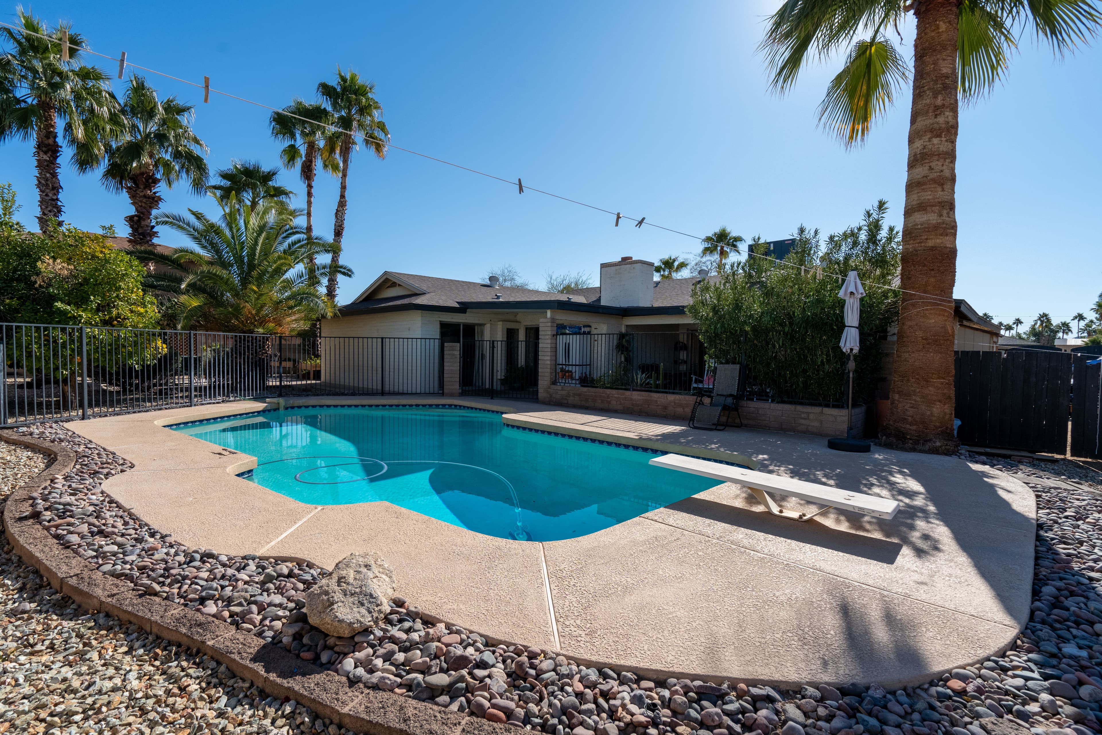 Backyard pool with palm trees